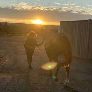 Meet your Posher, Candice